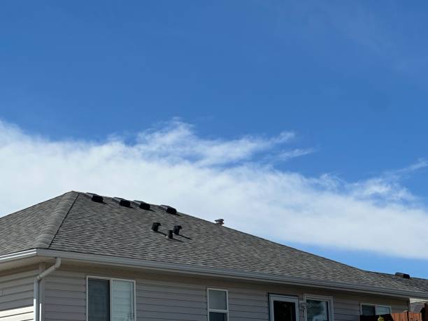 Best Chimney Flashing Repair  in Oak Harbor, OH